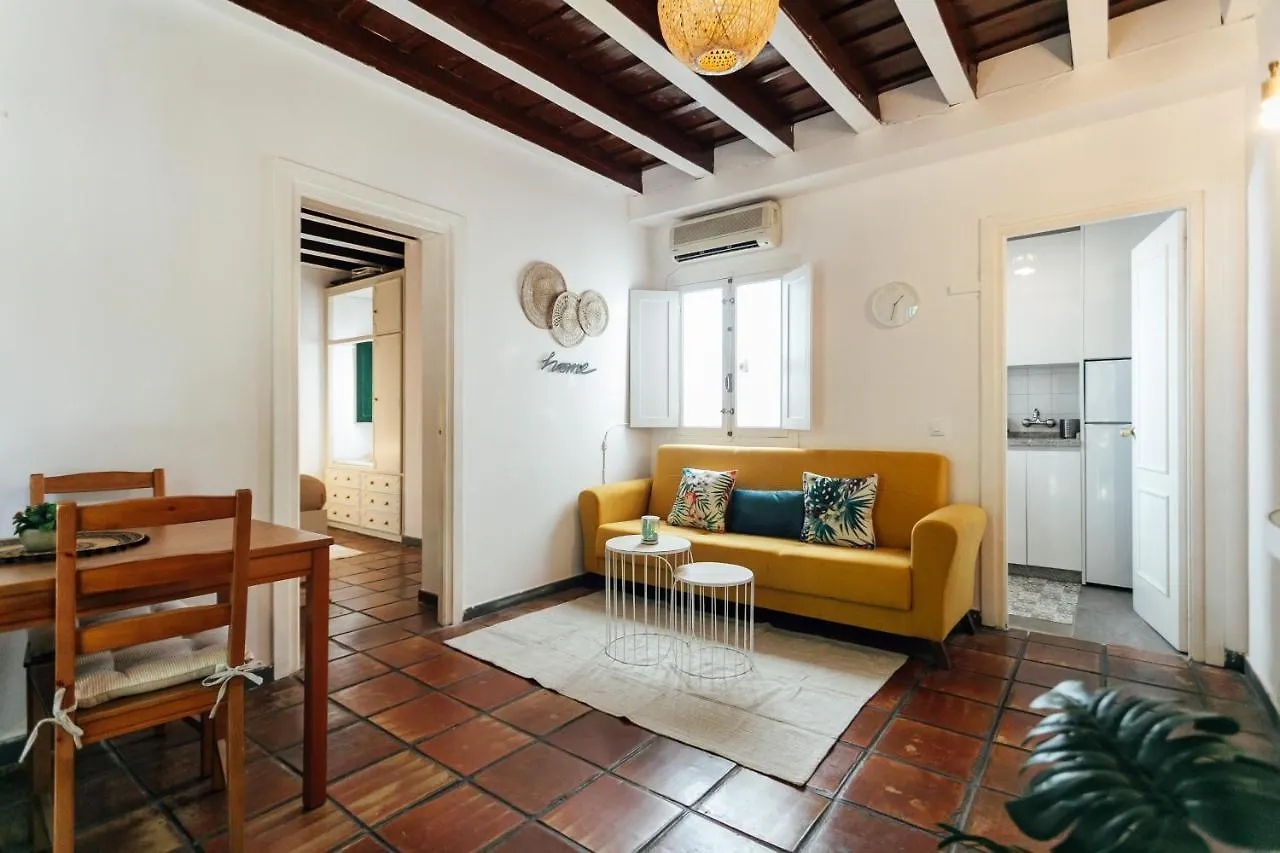 Alohamundi Alcazares Seville
