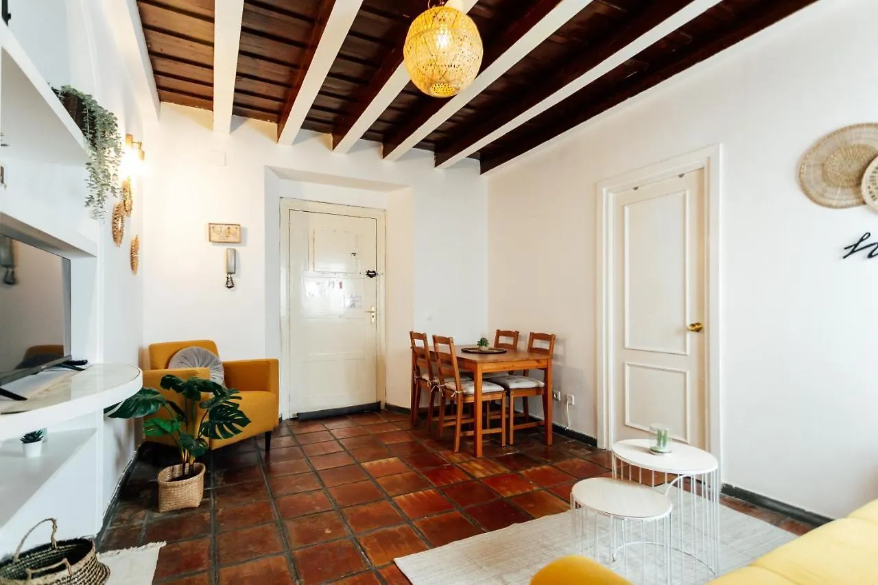 Alohamundi Alcazares Seville